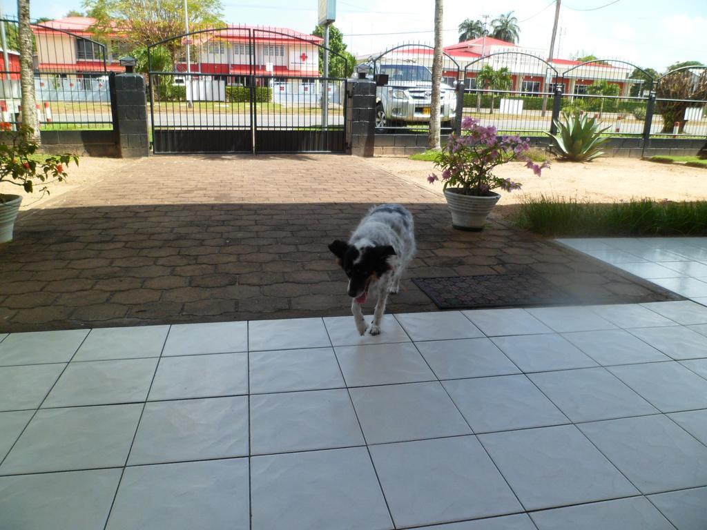 Guesthouse Amice Paramaribo Exterior photo